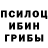 Псилоцибиновые грибы ЛСД Alexandra Igoryvna